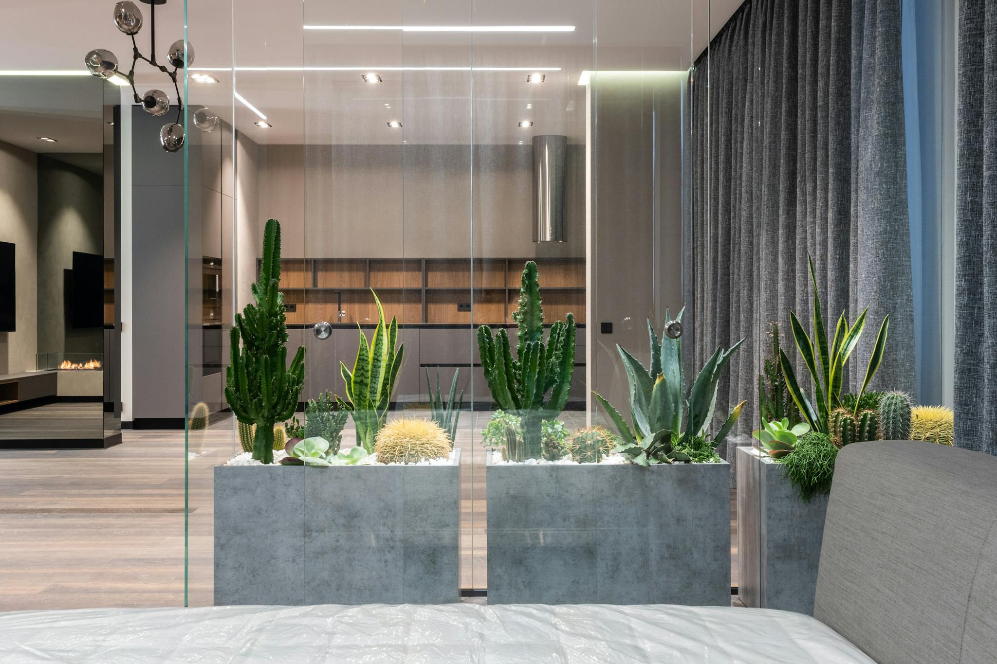 Elegant indoor living area featuring modern decor and lush succulent plants.