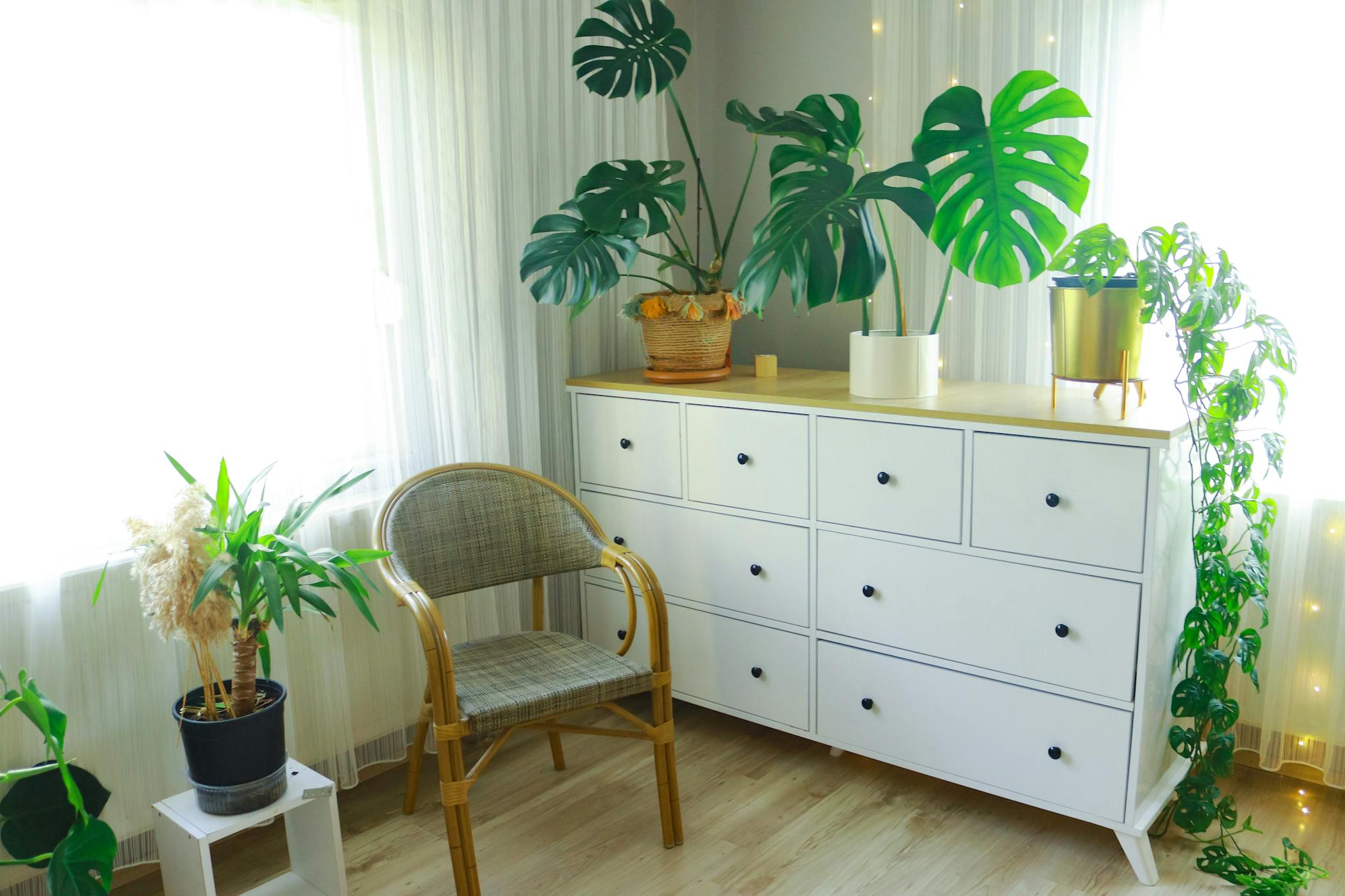 Stylish living room with white cabinet, potted plants, and natural light.